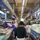팔마수산