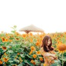 창원외국인행정사사무소 이미지