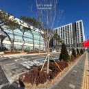 채우리약국 이미지