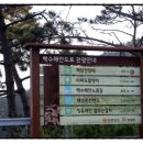 백암쉐이리 네이버블로그