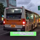 군청사거리~신정사거리 이미지