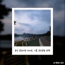 창승 | 처인구 용인중앙시장 데이트, 기흥 호수 공원 산책(feat. 편사부, 호수앉기)