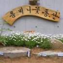 룸비니유치원 이미지