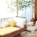 그냥스튜디오 이미지