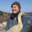 안트워프(게스트하우스) 네이버블로그