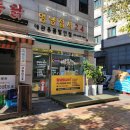 멍냥24