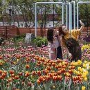 국제문화교류관 야외정원 이미지