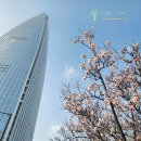 송파 미용실 롯데월드타워 알렉산드르드파리 잠실 에비뉴엘점 굳