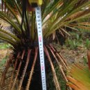 신평농장 이미지