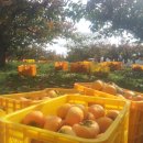 빗돌배기마을 이미지