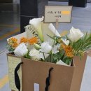 담장아래과꽃 이미지