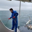 경상남도 수산안전기술원 이미지