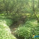 운곡허브 뉴시스