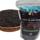 미래식량산업영농조합법인 이미지