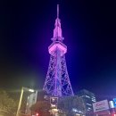 (주)비앤에프인코리아 | 모저앤씨(H.Moser &amp; Cie)와 함께 한 F1 일본 그랑프리 패독 후기