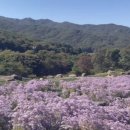 나만의계곡 이미지