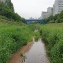 임마누엘피부과의원 이미지