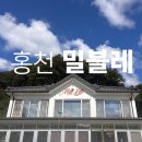 비발디파크와 가까운 홍천빵집 밀블레 솔직후기