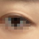 스피드운수