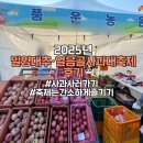 사과랑 고추랑 | 2025년 밀양대추·얼음골사과대축제 후기 (25.11.09)