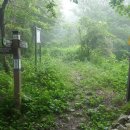 제암산등산로 이미지