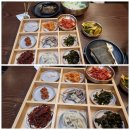 소답동 연잎밥집 윤가한약방 내돈내산후기