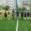 삼호초등학교 Daum카페