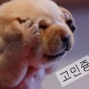 이좋은치과 이미지