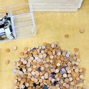 동글이작은도서관 이미지