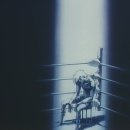 사조리조트 플러스 이미지