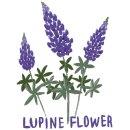 누리공원작은도서관 이미지