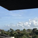 남부농장 | 신혼여행 인도네시아 발리 6박8일_⑤ (남부 짐바란 라스트데이투어, 울루와뚜사원, 루왁커피농장, 판다...