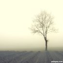 Top 50 Pictures from the Photography Contests of December 2010 이미지