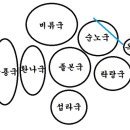 아란원