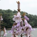 박*래 이미지