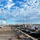 하모리-47 이미지