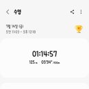 핑크망고 이미지