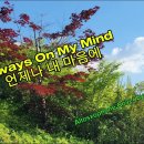 Always On My Mind/Willie Nelson/ 한명수 커버연주 이미지