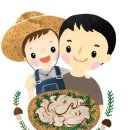 쇼부라멘 송도점 이미지