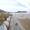 웨이브 호텔펜션 이미지