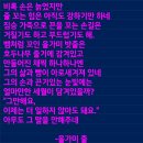 차미례 이미지