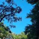 사회복지현장실습 이미지