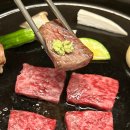 삼성1-122 | 강남상견례 완벽한 룸식당 모도우 삼성점 한우 코스 후기(ft.콜키지프리)