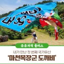 [생생 국가유산] 내가 만난 첫 번째 국가유산 - 마천목장군 도깨비를 만나다