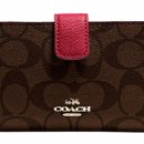 트루코치 이미지