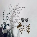 항상좋은날 이미지