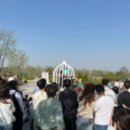 평택발전기 | 평택시농업생태원 꽃나들이축제 후기 튤립 개화 상황