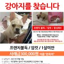 덕인초등학교 이미지