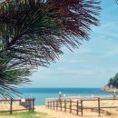 바다와 파도소리 이미지