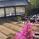 칼의부활 네이버블로그